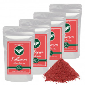 Strawberry powder (1000 grams)